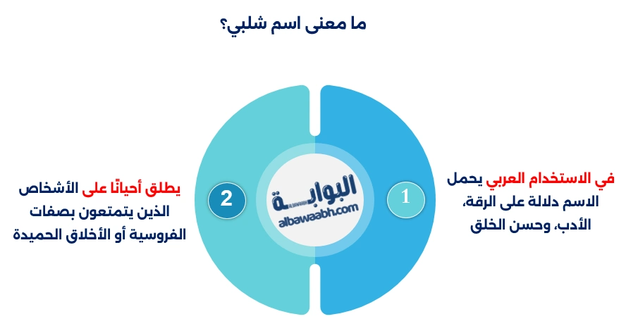 شلبي سولوفان 