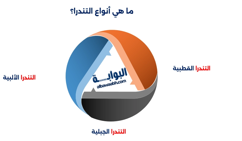 التندرا المتجمدة