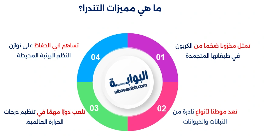 التندرا المتجمدة
