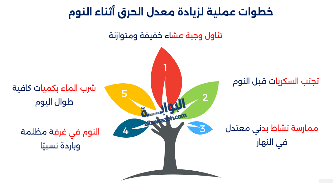 مواعيد النوم والرجيم