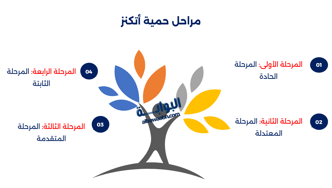 حمية أتكنز