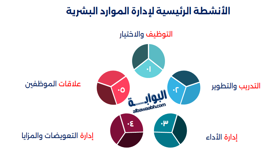 افضل برنامج لادارة الموارد البشرية