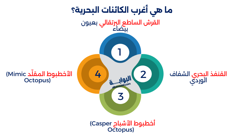 الأحياء البحرية النادرة