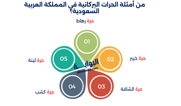 البراكين في السعودية
