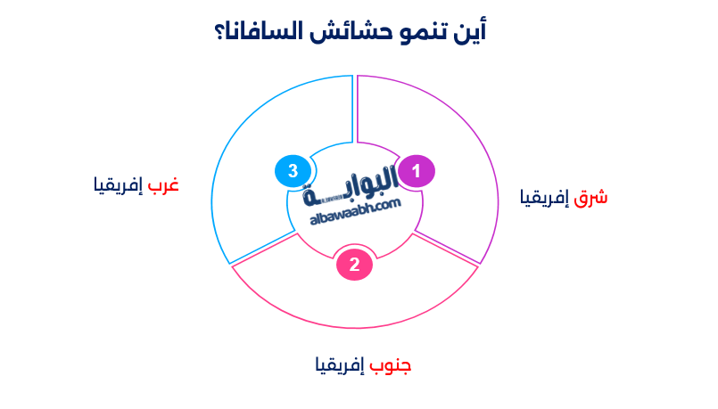 السافانا الإفريقية