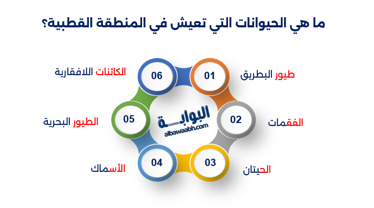 الحيوانات في القارة القطبية الجنوبية	