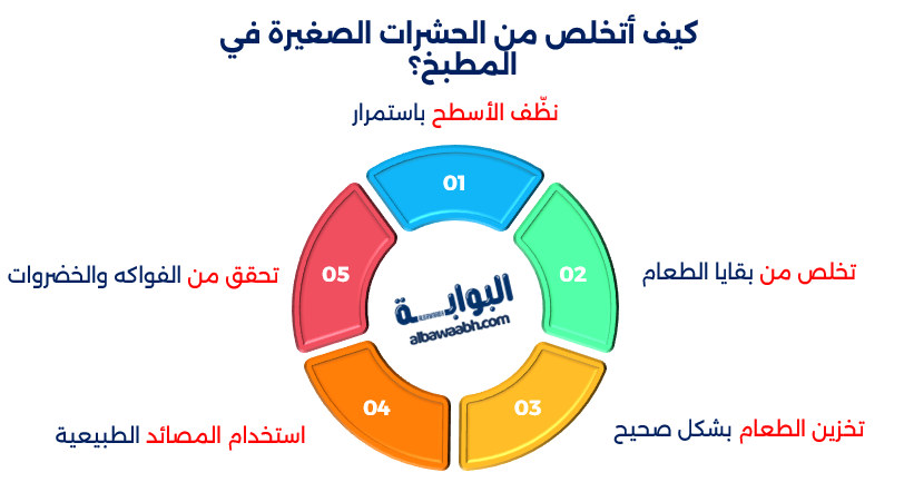 التخلص من الحشرات في البيت
