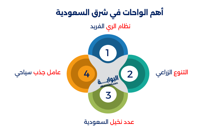 الواحات في شرق السعودية