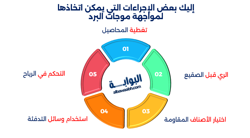 موجات البرد