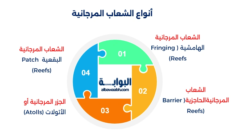الشعاب المرجانية في البحر الأحمر