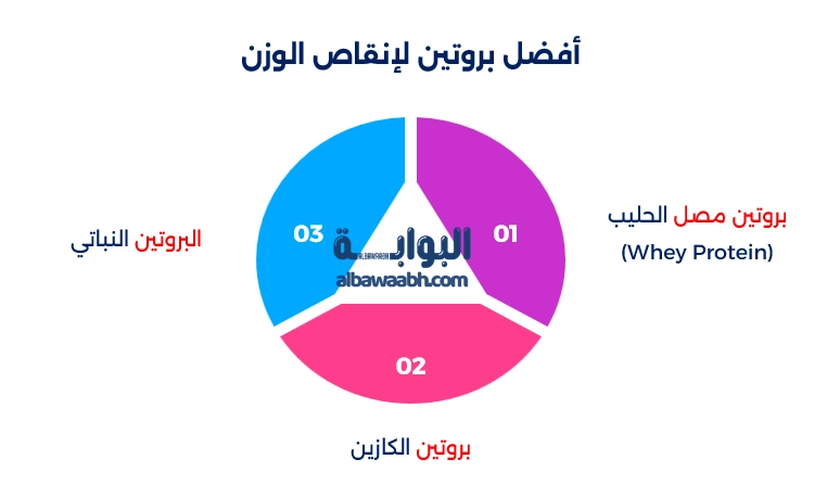 مكملات البروتين للرجيم