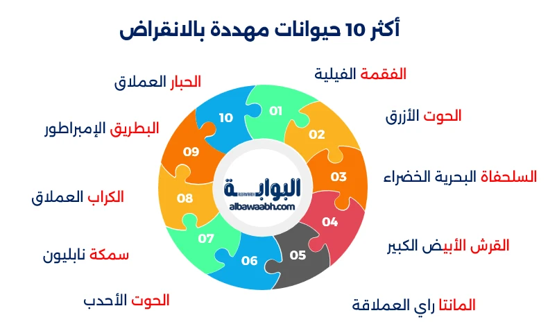 الكائنات البحرية المهددة بالانقراض