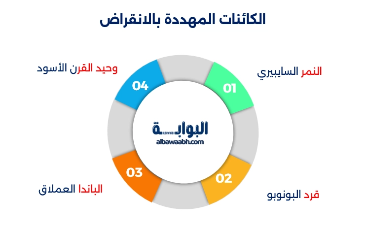 الكائنات البحرية المهددة بالانقراض