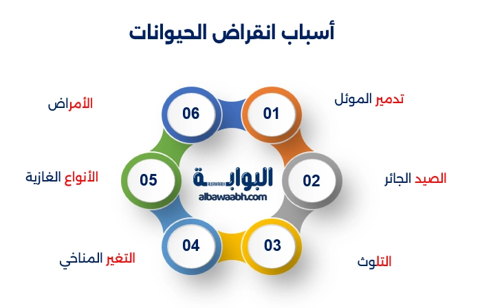 الكائنات البحرية المهددة بالانقراض