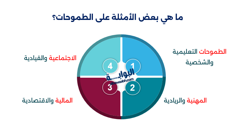 أنواع الطموح