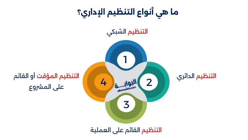 أنواع التنظيم
