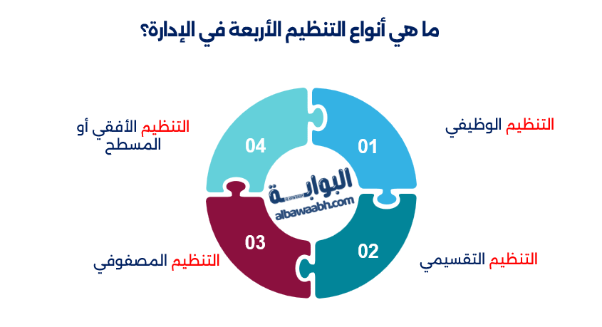 أنواع التنظيم
