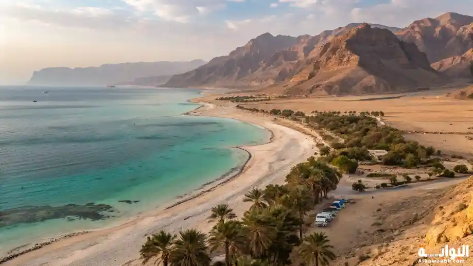السواحل السعودية