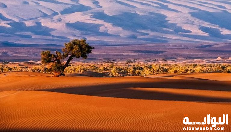 المناخ الصحراوي في شبه الجزيرة العربية