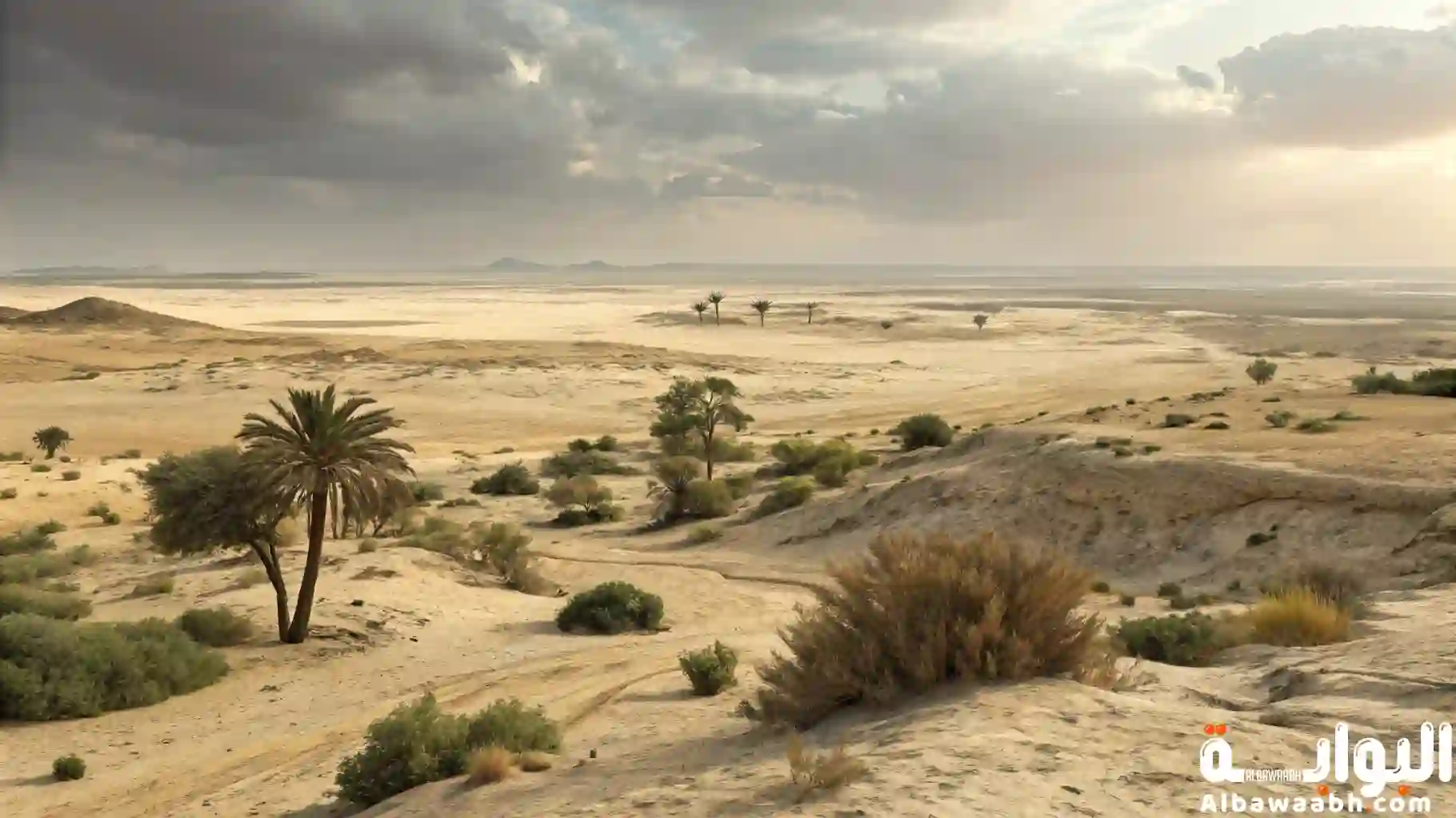 الأراضي المنخفضة في البحرين