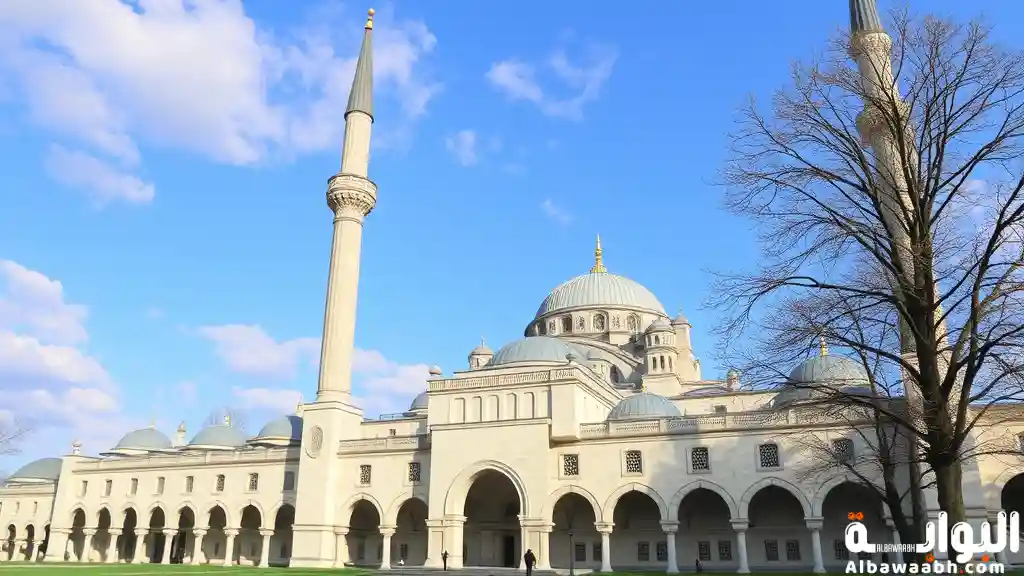 رؤية قراءة سورة يس