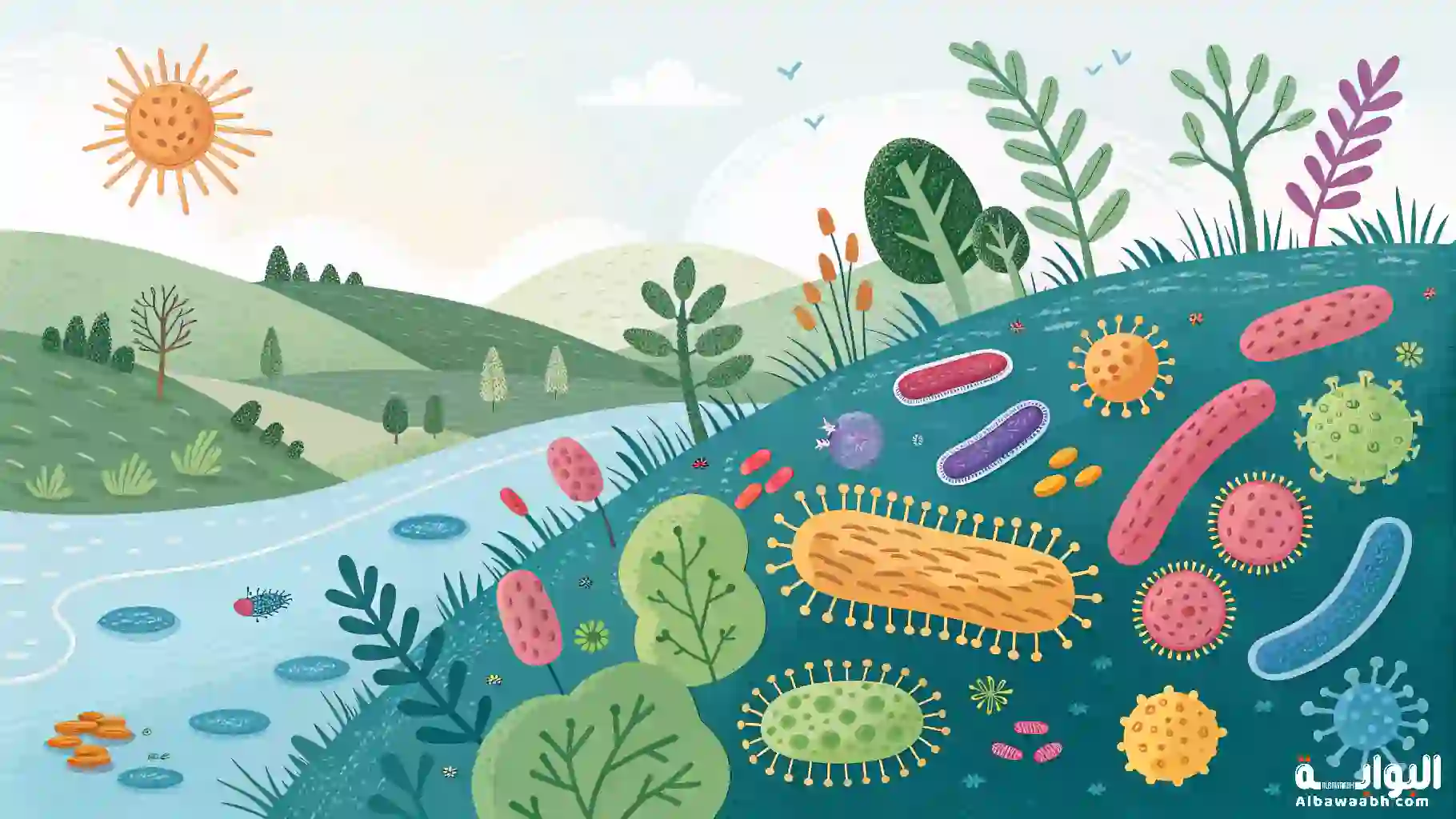 حمية الميكروبيوم