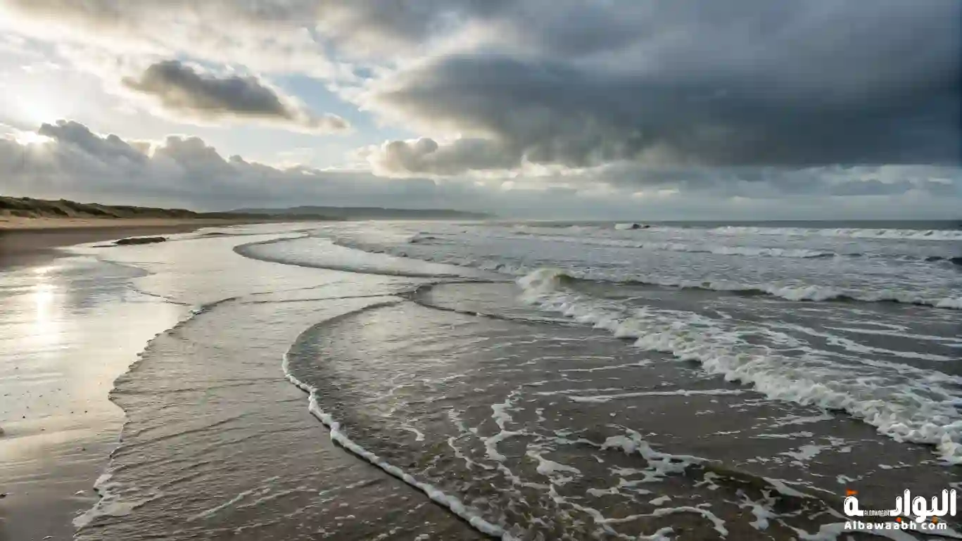 المد والجزر 