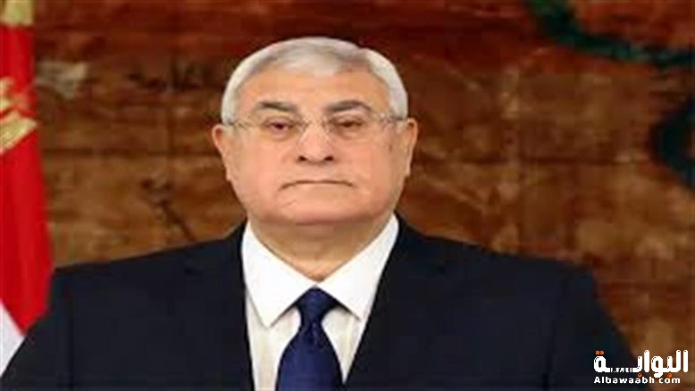 عدلي منصور