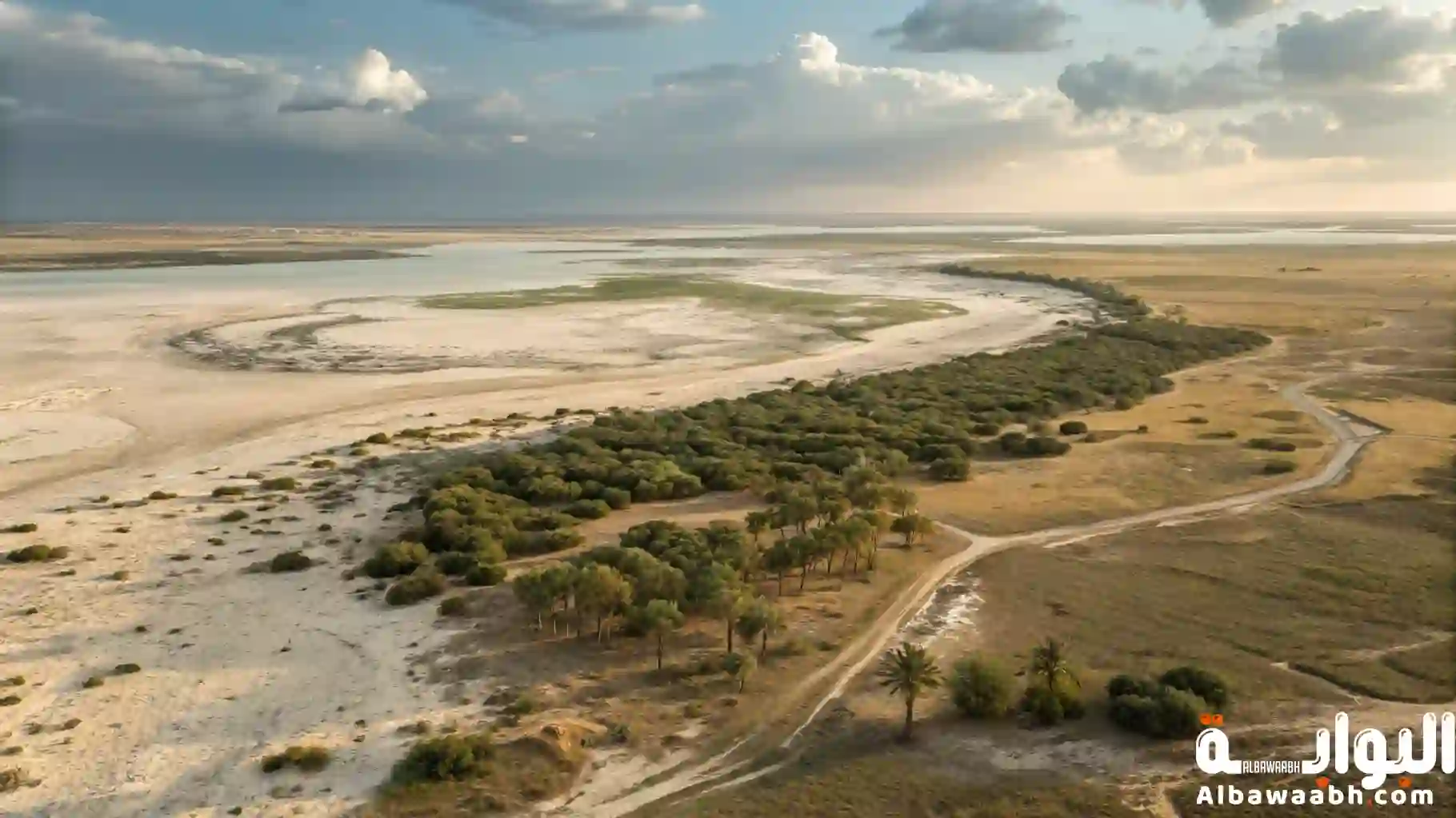 الأراضي المنخفضة في البحرين