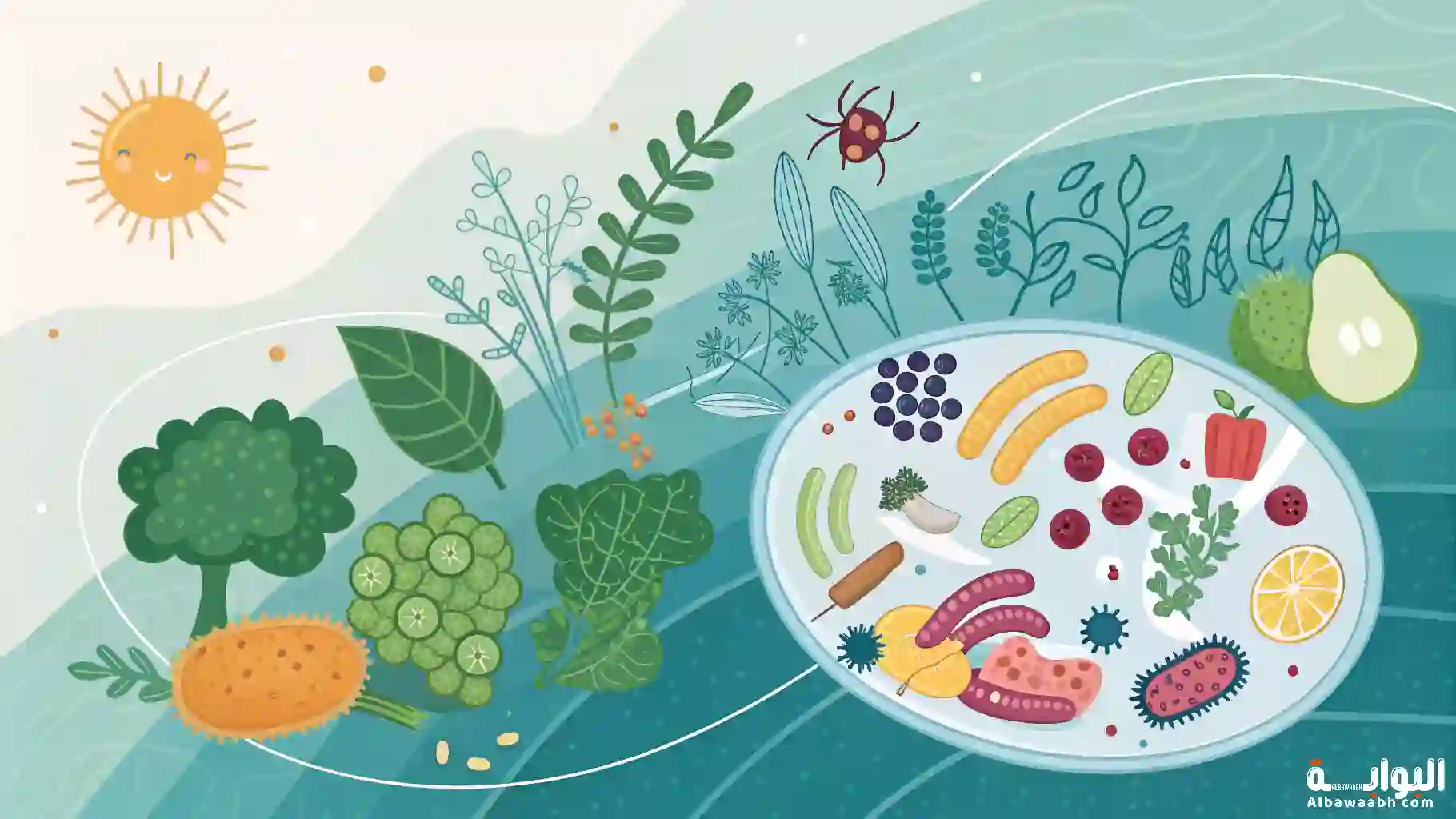 حمية الميكروبيوم