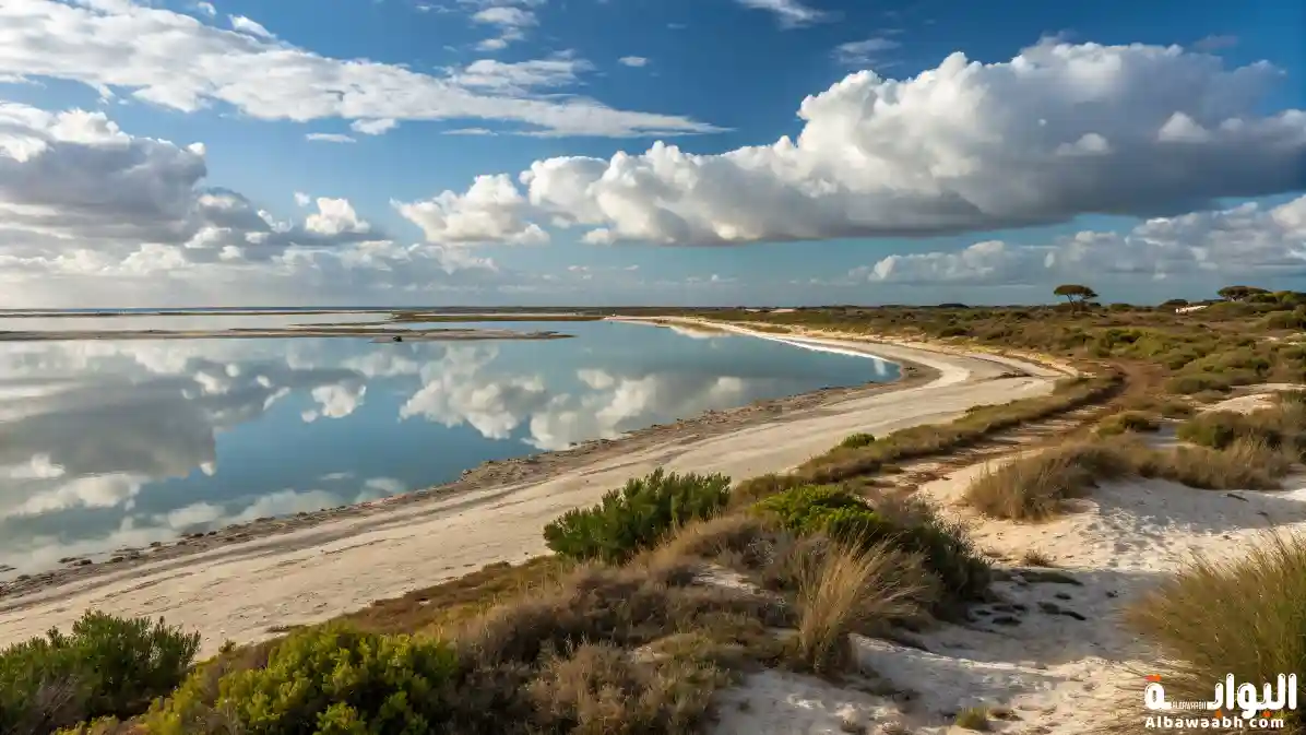 البحيرات المالحة الساحلية