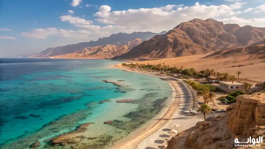 السواحل السعودية