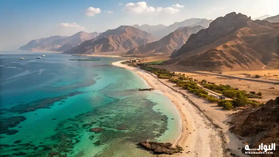 السواحل السعودية