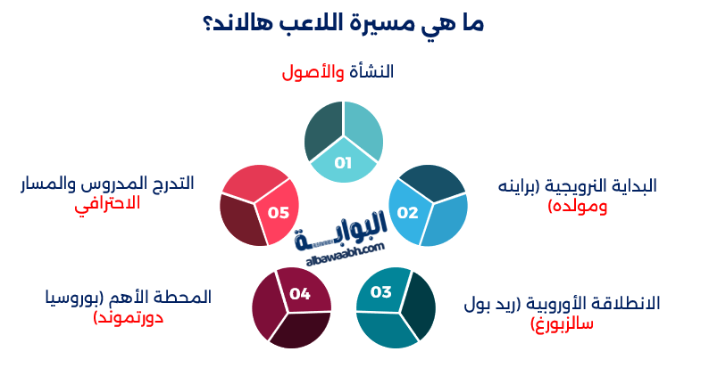 مسيرة هالاند مع بوروسيا دورتموند