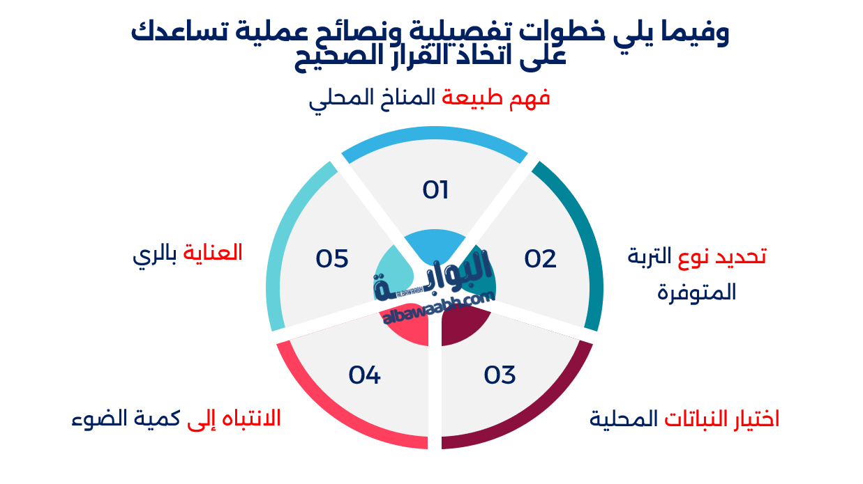 زراعة النباتات في حديقة المنزل
