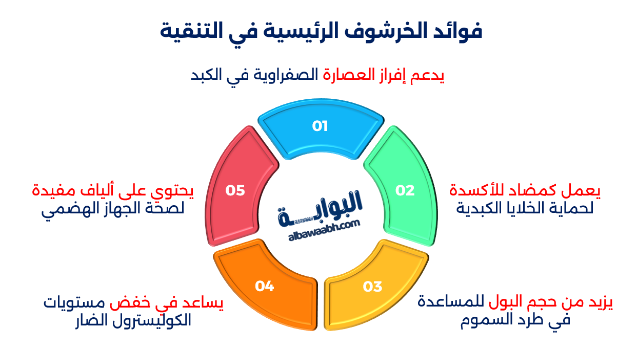 الأعشاب المدرة للبول