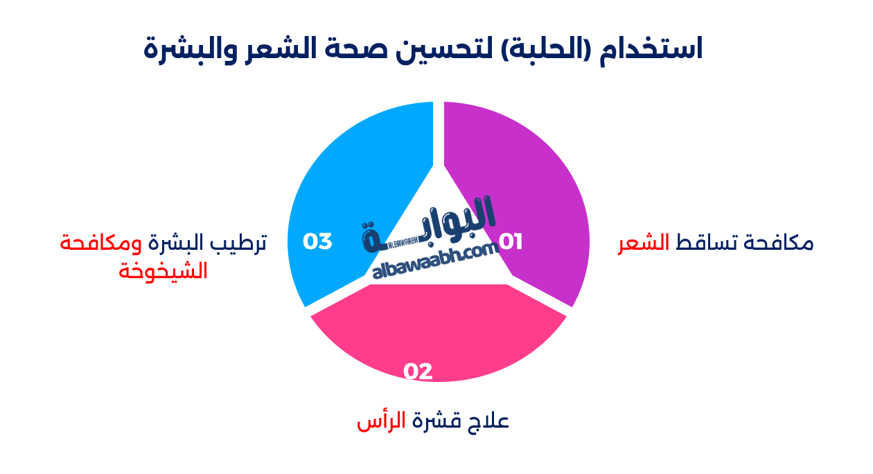 الحلبة