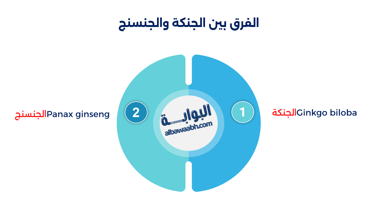 الجنكة