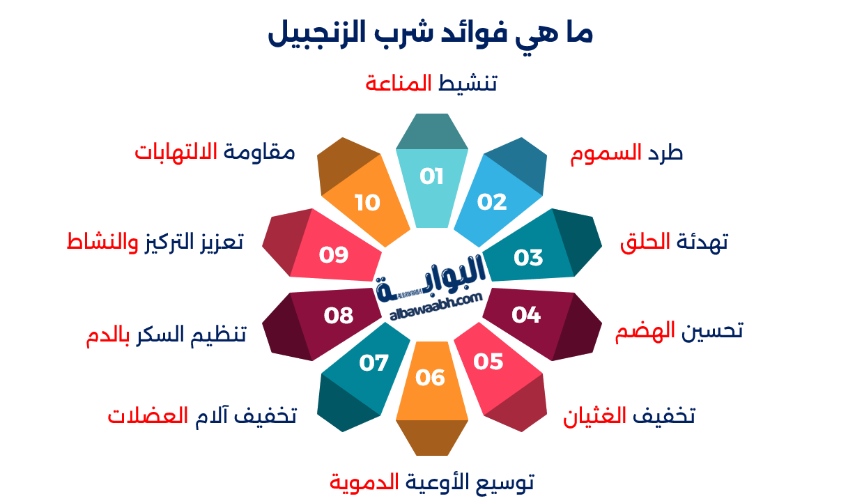 الزنجبيل