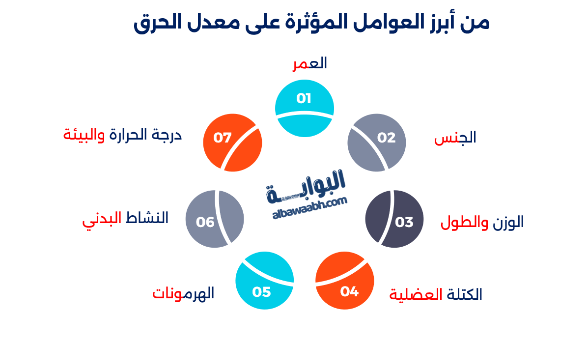 أساسيات السعرات