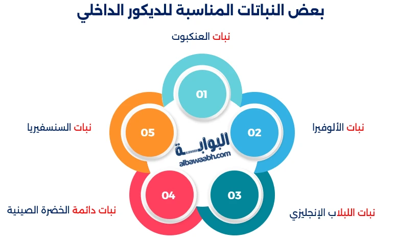 ديكور المنزل