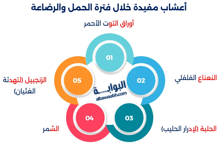 أعشاب النساء