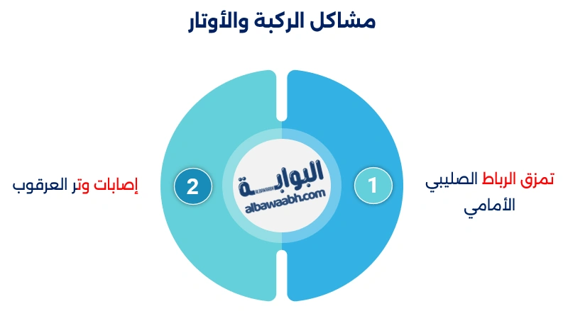 أبطال الجولف