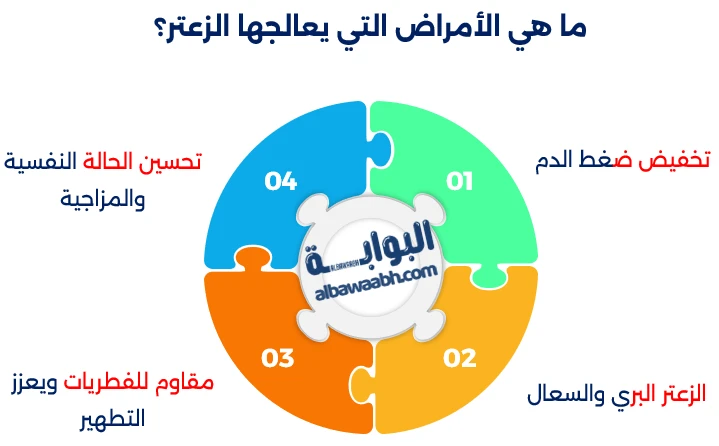 الزعتر البري