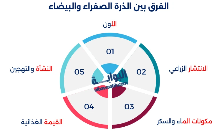 الذرة