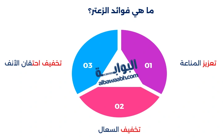 الزعتر