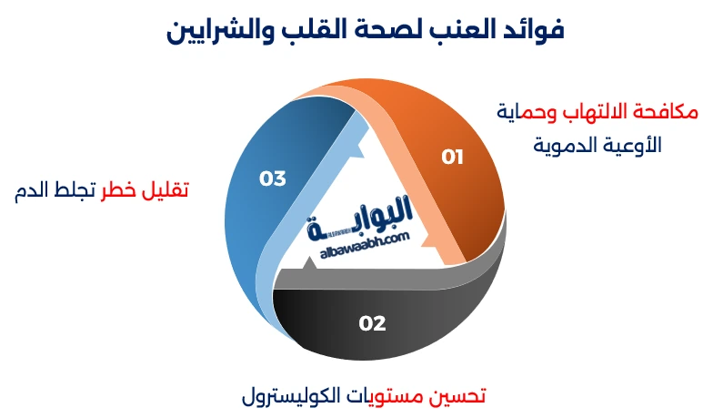 العنب