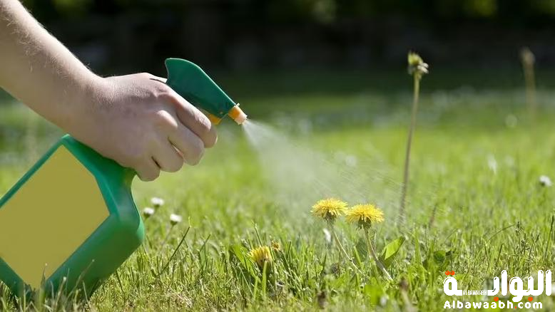 محاذير الأعشاب