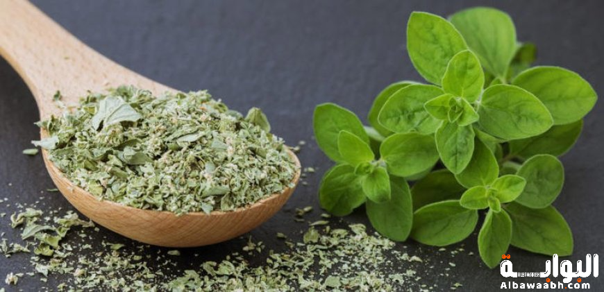 أعشاب الجهاز التنفسي