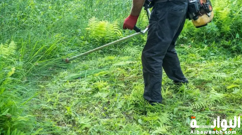 محاذير الأعشاب